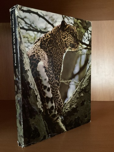 Fauna dell africa - fauna, dell'africa