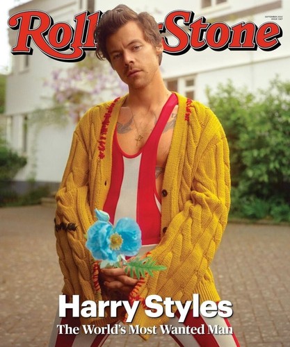 Harry styles the - styles, world’s