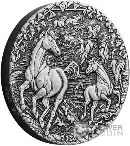 Year the horse australian - the,