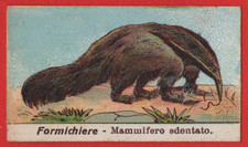 FIGURINA ANIMALI FORMICHIERE