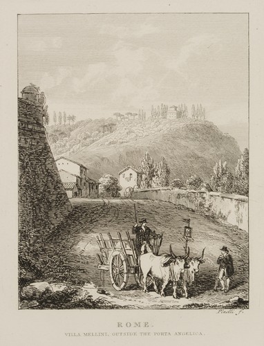 Pinelli villa - pinelli,