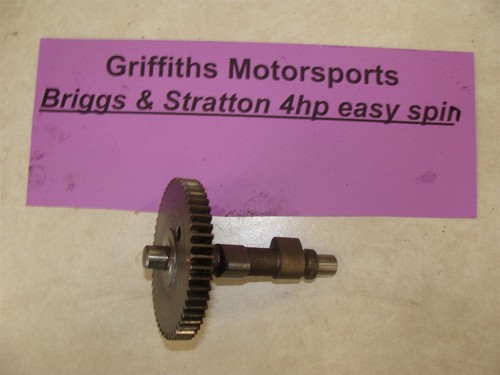 Motore briggs stratton 4hp - motore,