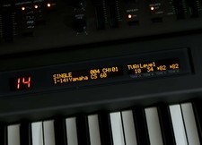 Roland JD-800 Custom LUX (Super Enhanced Black) Display LED PMVA! 