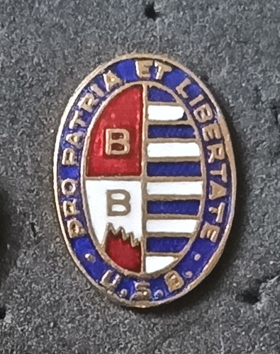 Pro patria distintivo calcio - pro,