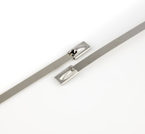 Fascette acciaio aisi - 316, inox