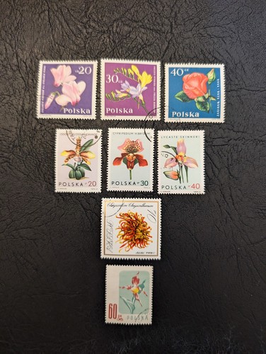 Polonia 1957 1960 bellissimi