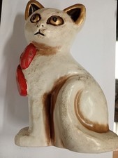 thun gatto con gli occhi