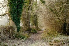 Photo 6x4 Brockmoor Lane Gorsley The northern end of the right of way is  c2016