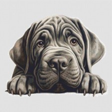 Cane cucciolo mastino