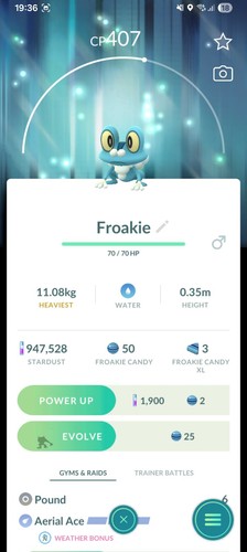 Pokemon froakie con dorso - froakie,