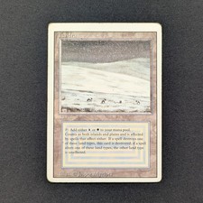 MTG \\>> Tundra (PL) <<//