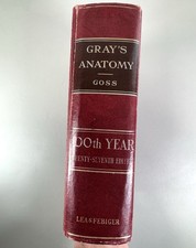 Anatomy of the Human Body