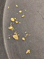 12 oz GOLD PAYDIRT concentrati