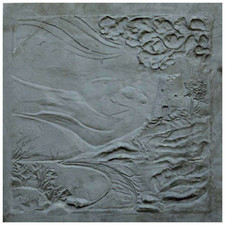 Dim 60x60 Lastra decorata