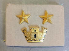 GRADO DA TENENTE COLONNELLO - METALLO - SU CARTONCINO RIGIDO - ESERCITO