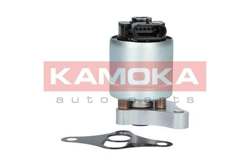Valvola egr kamoka 19002 - 19002, per