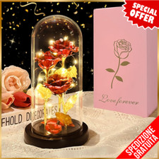 Rose Eterna Luci LED Rosa per