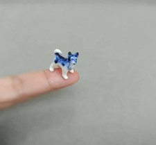 Miniatura cane siberiano husky