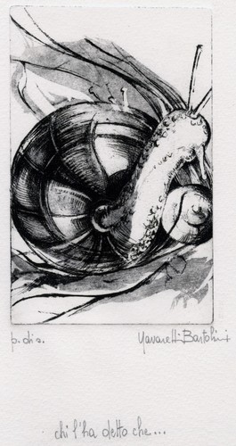 Navaretti bartolini graziella - navaretti,