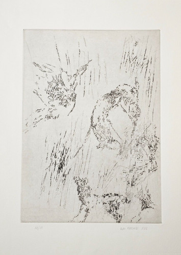 Aldo pancheri - pancheri, )