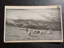 FOTO SU CARTONCINO - ALTI PASCOLI - Disegno di ACHILLE TOMINETTI