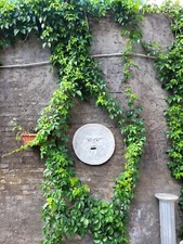 Quadro Bassorilievo Bocca Della Verita In Cemento 