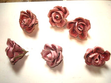 5  ANTICHI  FIORI IN