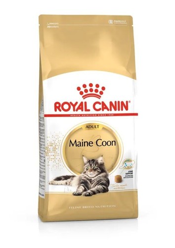Royal gatto maine coon - gatto, 2
