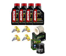 TAGLIANDO YAMAHA FZR 600 MOTUL