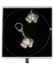 Deutsch Drahthaar - Set - Il