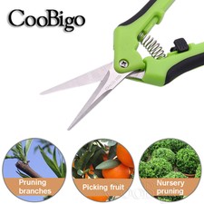 Forbici potatrice giardino 2