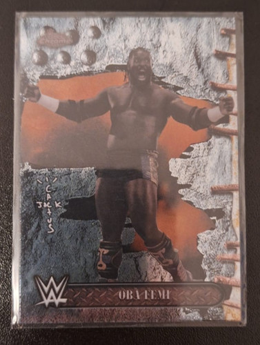 2025 topps chrome wwe - topps,