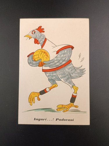 Cartolina umoristica padova - cartolina,