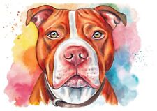 Pit Bull Terrier acquerello originale dipinto a mano ritratto cane 