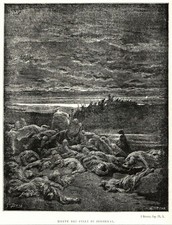 🟢  ANTICA STAMPA GUSTAVO