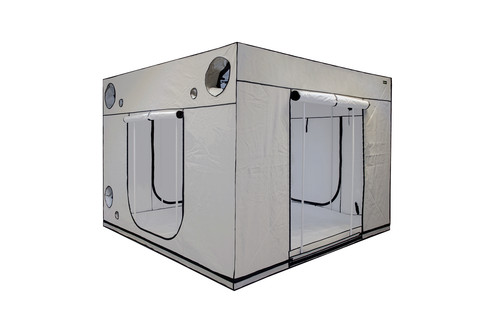 Homebox ambient q300 plus - q300+,