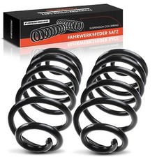 2 molle sospensione posteriore