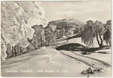 CAMPIGNA CAMALDOLI - FORLI' - SULLA GIOGANA - NUOVO SKILIFT - VIAGG. -79915-