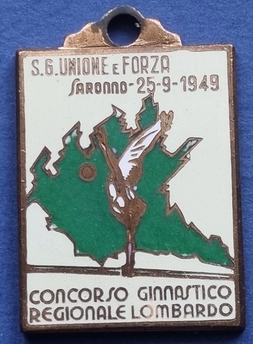 Distintivo unione forza - distintivo,