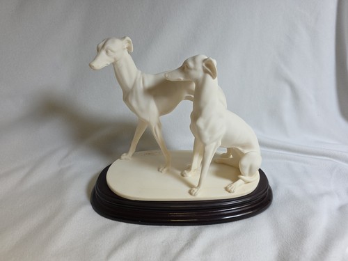 Coppia cani greyhound whippet - greyhound,