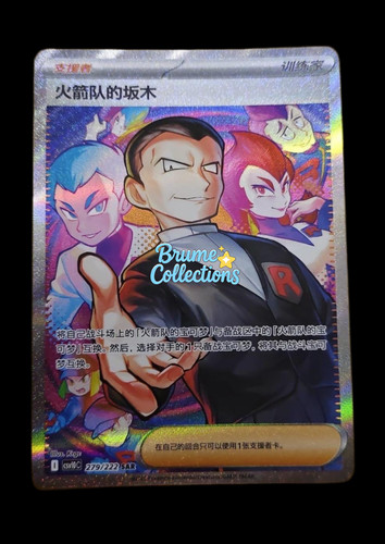 Pokémon tcg chinese team - tcg,