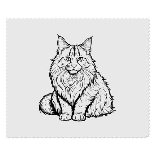 Maine coon cat panni - x,