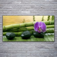 Stampa acrilica arte da parete