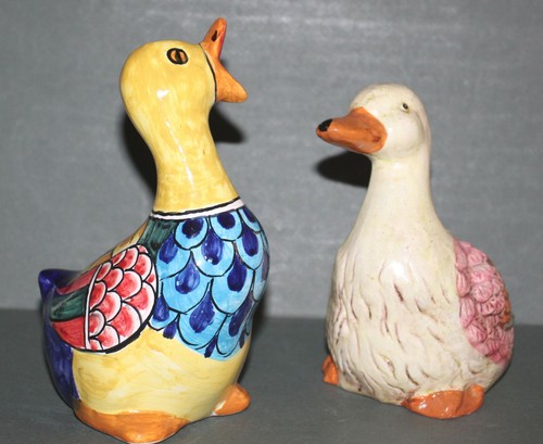 Coppia papere collezione - papere, da