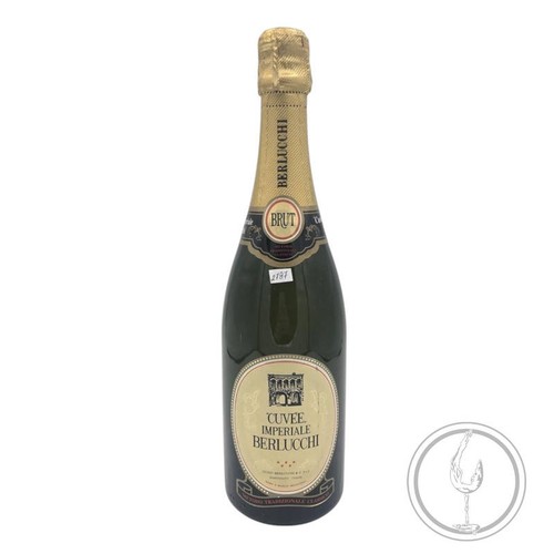 Vintage bottle berlucchi - -,