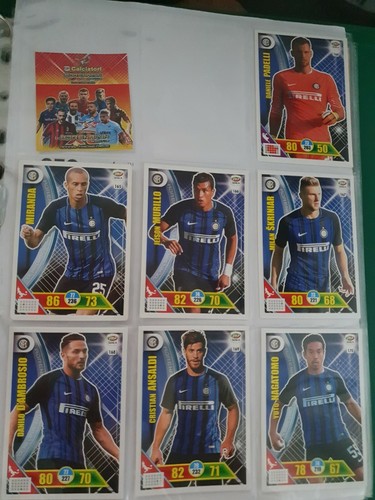 Card panini adrenalyn - 29,