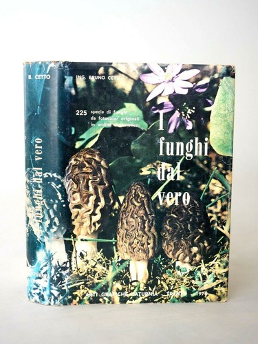 E327 bruno cetto funghi - e327_bruno,
