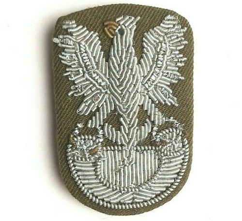 Ww2 polish forces - 99,
