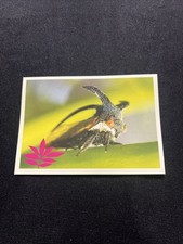 Noi Animali L’unione Fa La