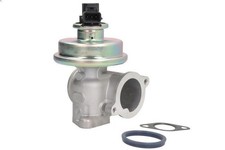 EGR HELLA 6NU 010 171-251 FORD